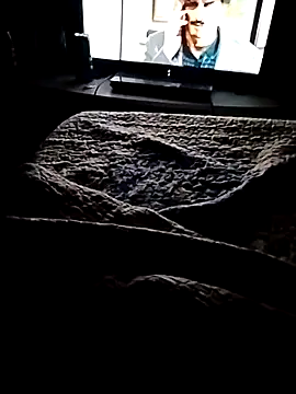 minitranca online show from February 21, 2026, 3:18 am