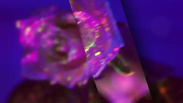 HeyBananas online show from October 22, 2025, 5:56 pm