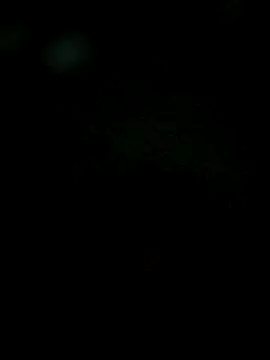 Snapshot of Karthik924 chatting on February 1, 2025, 6:19 pm Karthik924 online show from February 1, 2025, 6:19 pm