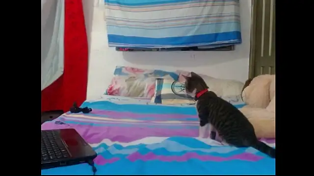 Snapshot of perverted_couple_- chatting on December 23, 2024, 1:08 am perverted couple - online show from December 23, 2024, 1:08 am