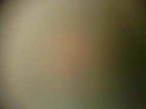 TheSweetBerry online show from March 28, 2026, 12:16 pm