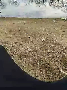 hexsmith96 online show from December 17, 2024, 11:49 am