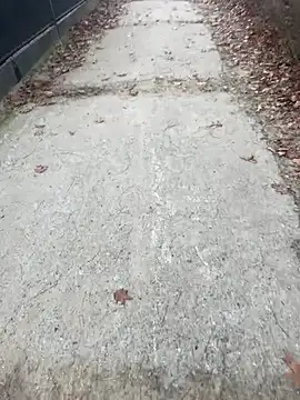 Snapshot of Tomkitomkii chatting on November 6, 2025, 2:51 pm Tomkitomkii online show from November 6, 2025, 2:51 pm