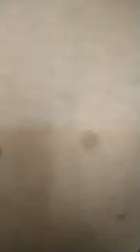 Snapshot of rohitlov150 chatting on February 13, 2025, 11:50 am rohitlov150 online show from February 13, 2025, 11:50 am