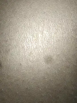 Snapshot of rohitlov150 chatting on March 4, 2025, 3:11 am rohitlov150 online show from March 4, 2025, 3:11 am