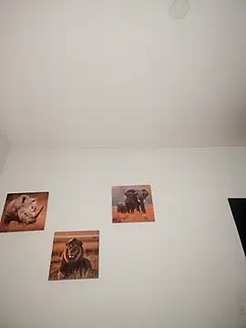 Shria107 online show from December 14, 2025, 12:10 pm