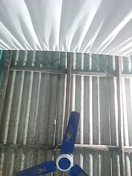 hotbaby 5 online show from November 18, 2025, 4:00 pm