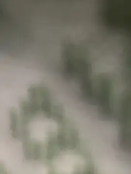 Estefanii- online show from December 16, 2024, 1:32 pm