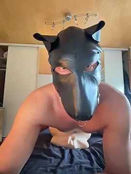 PlayDog123 online show from October 16, 2025, 2:29 pm