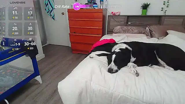 Kittyymaze1 online show from March 2, 2025, 2:32 pm