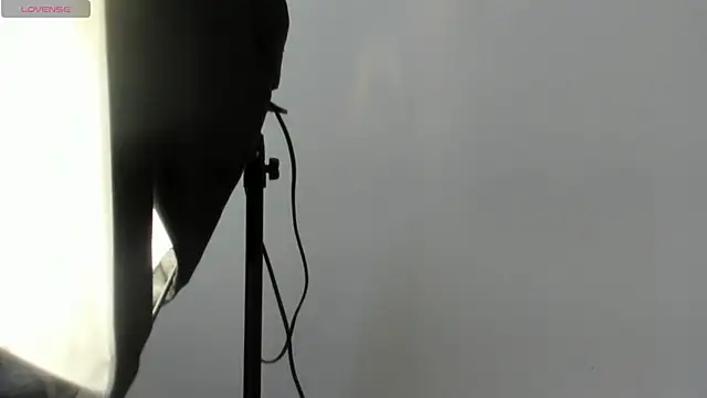 AbigailWilliams  online show from November 14, 2025, 11:20 am