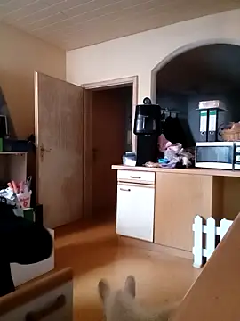 Wishes813 online show from February 22, 2026, 2:04 pm