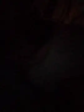 Snapshot of Work4Crypto chatting on March 21, 2026, 4:28 am Work4Crypto online show from March 21, 2026, 4:28 am