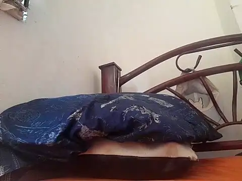 Snapshot of _afrodita_sex chatting on February 10, 2025, 7:49 pm afrodita sex online show from February 10, 2025, 7:49 pm