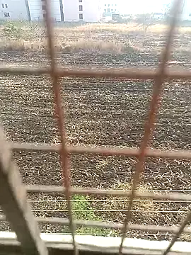 1010SumiT online show from January 27, 2025, 3:58 am