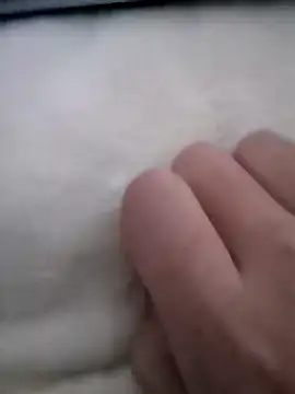 Snapshot of smailcat chatting on December 7, 2024, 2:09 am smailcat online show from December 7, 2024, 2:09 am