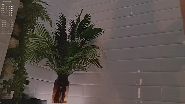 MichaellaMoon online show from December 3, 2025, 2:15 pm