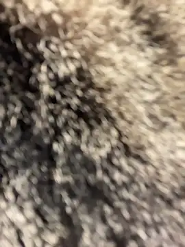 SuzieMurray online show from April 1, 2026, 8:26 am