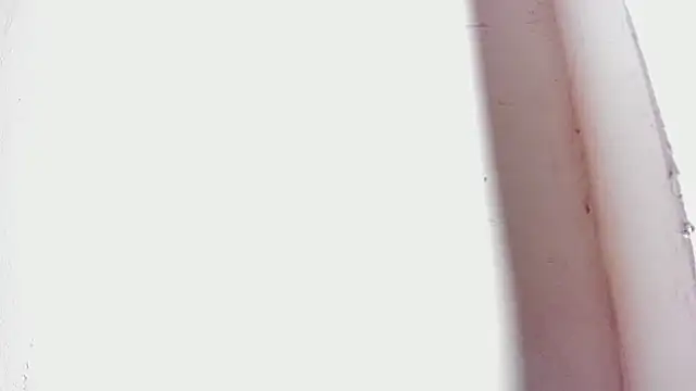 tifany bigdick online show from February 27, 2025, 12:43 am