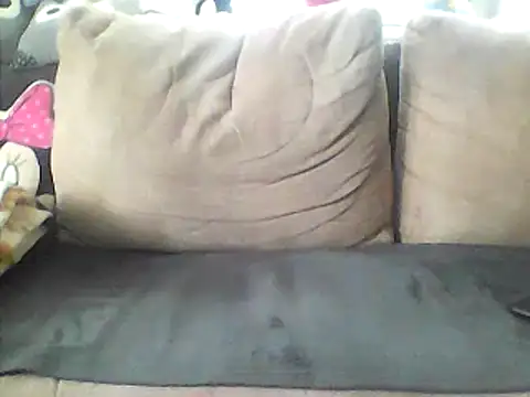 Snapshot of Lisak951 chatting on February 26, 2026, 10:14 am Lisak951 online show from February 26, 2026, 10:14 am