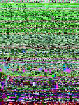 Harii 02 online show from February 8, 2025, 7:49 pm