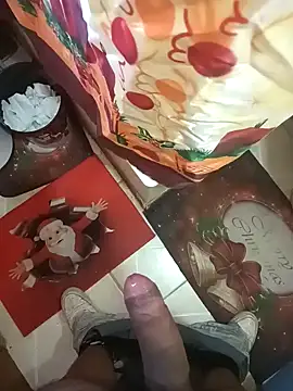 pedritolobito online show from December 26, 2024, 4:36 pm