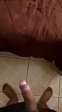 pedritolobito online show from December 30, 2024, 12:20 pm