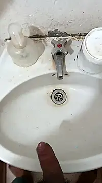 pedritolobito online show from February 27, 2025, 11:52 am