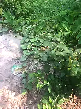 GapingConker online show from November 9, 2025, 7:50 am