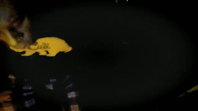 Pressure69mee online show from March 12, 2025, 9:24 pm