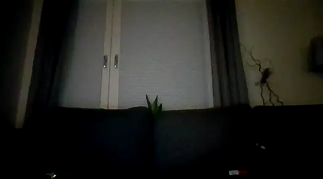 Sebuleczek online show from December 9, 2024, 1:29 am