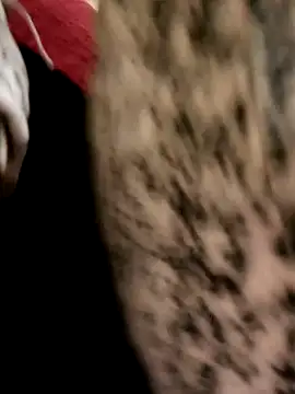 yasima-39 online show from December 15, 2024, 8:25 pm