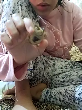 yasima-39 online show from January 26, 2025, 3:36 pm