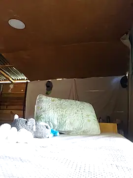 jose5320 20 online show from September 16, 2025, 3:24 pm