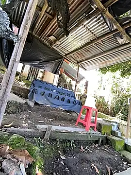 Jestebanano online show from May 26, 2026, 3:41 pm