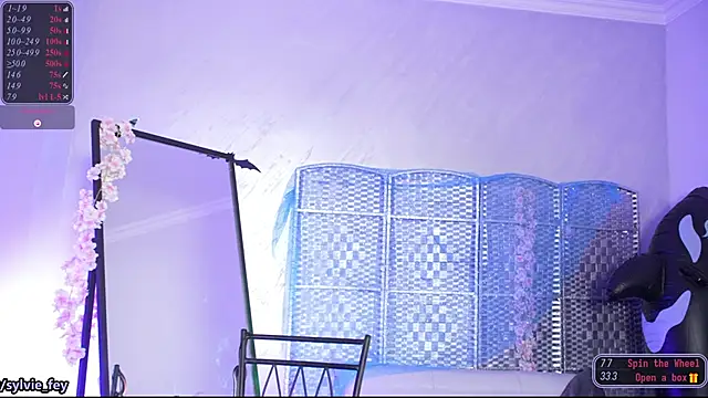 sylvie fey online show from June 14, 2026, 2:24 am