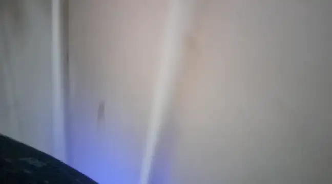 elcobin online show from March 16, 2025, 3:58 am