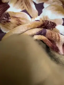 Snapshot of hamed-697 chatting on December 16, 2024, 8:48 pm hamed-697 online show from December 16, 2024, 8:48 pm