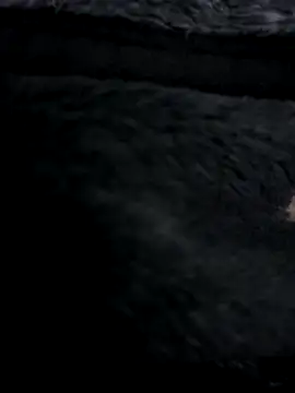 MetalJoint2 online show from November 30, 2025, 3:32 am