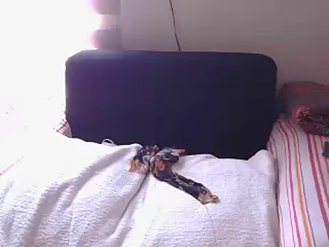 Snapshot of Mollybrookexx chatting on December 11, 2024, 8:04 am Mollybrookexx online show from December 11, 2024, 8:04 am