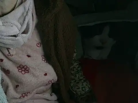 VeneRed online show from March 16, 2026, 9:19 pm