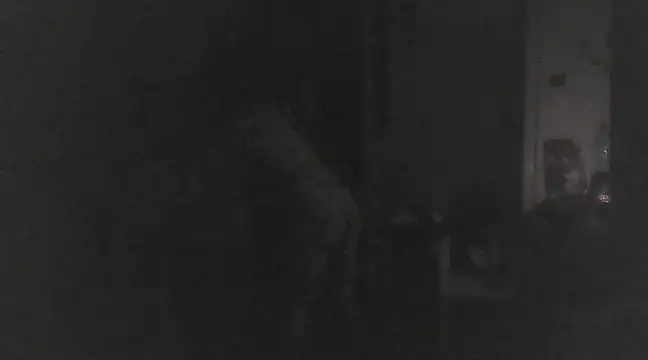 Snapshot of Just_Gabriella chatting on March 17, 2025, 1:18 pm Just Gabriella online show from March 17, 2025, 1:18 pm