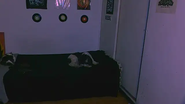 alex one888 online show from November 9, 2025, 11:03 pm