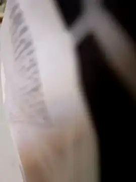 Snapshot of 403notfound chatting on September 25, 2025, 11:58 am 403notfound online show from September 25, 2025, 11:58 am