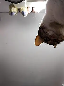 DannaDooll99 online show from March 6, 2025, 10:52 am