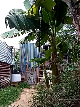 tayson  online show from March 14, 2025, 11:34 am