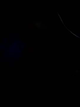 Leocesar37 online show from April 10, 2026, 6:56 pm