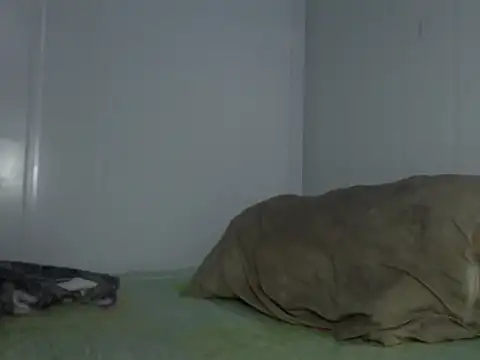 serjdj90 online show from November 11, 2025, 8:03 am