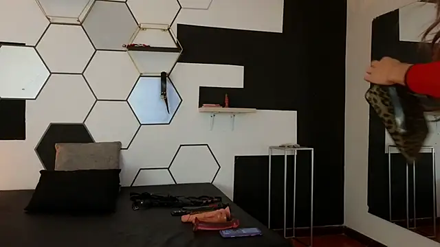 haileycat online show from February 8, 2025, 11:34 pm