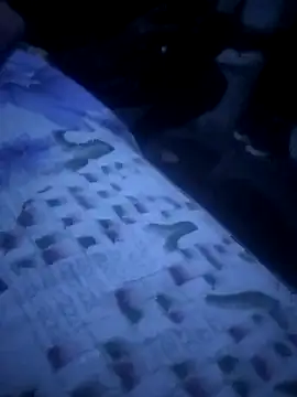 mojita ko kasi online show from April 9, 2026, 12:54 am